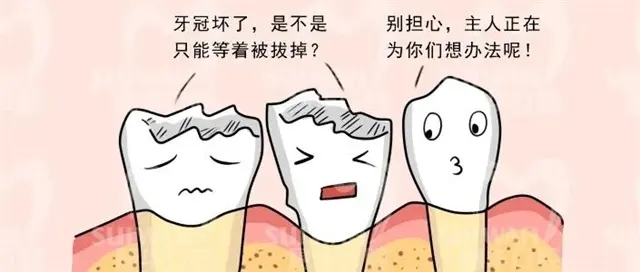 牙齿磨损 牙齿磨损
